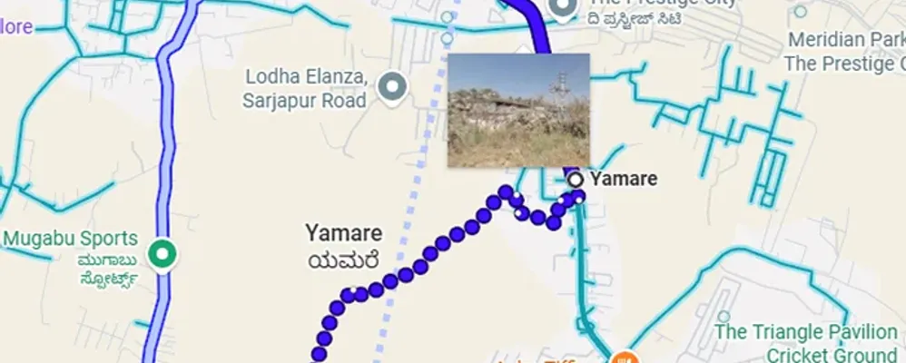 g-mamp